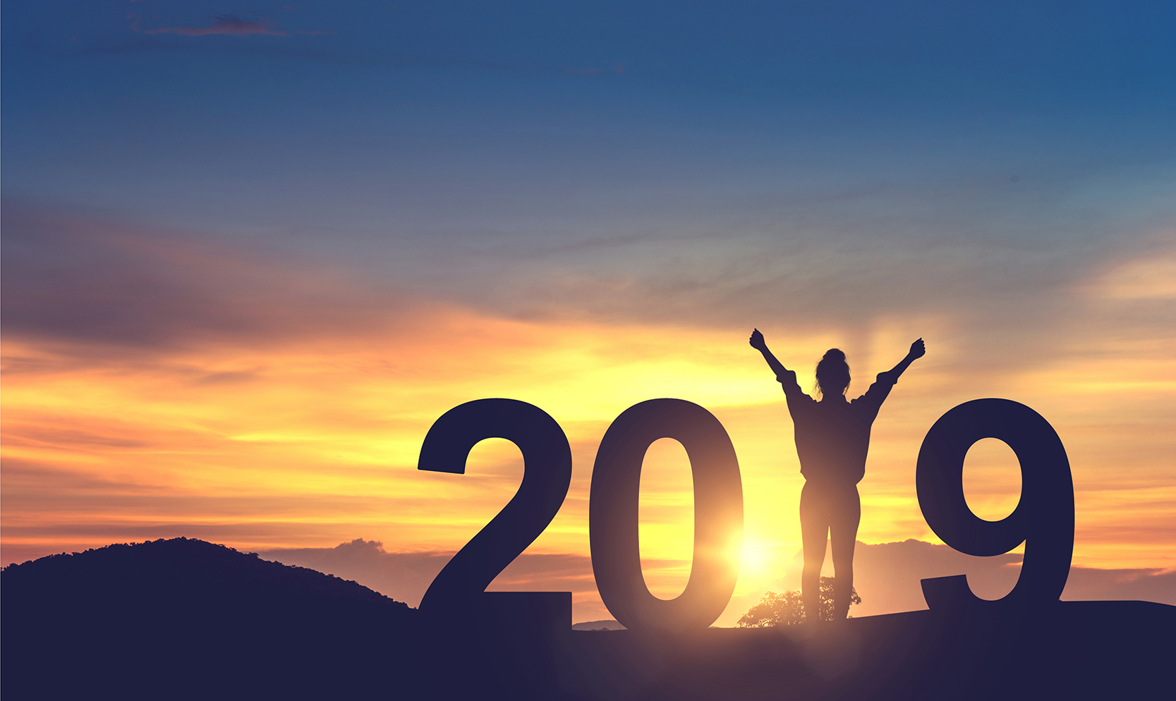 Realtor's Guide to Crushing your 2019 Resolution