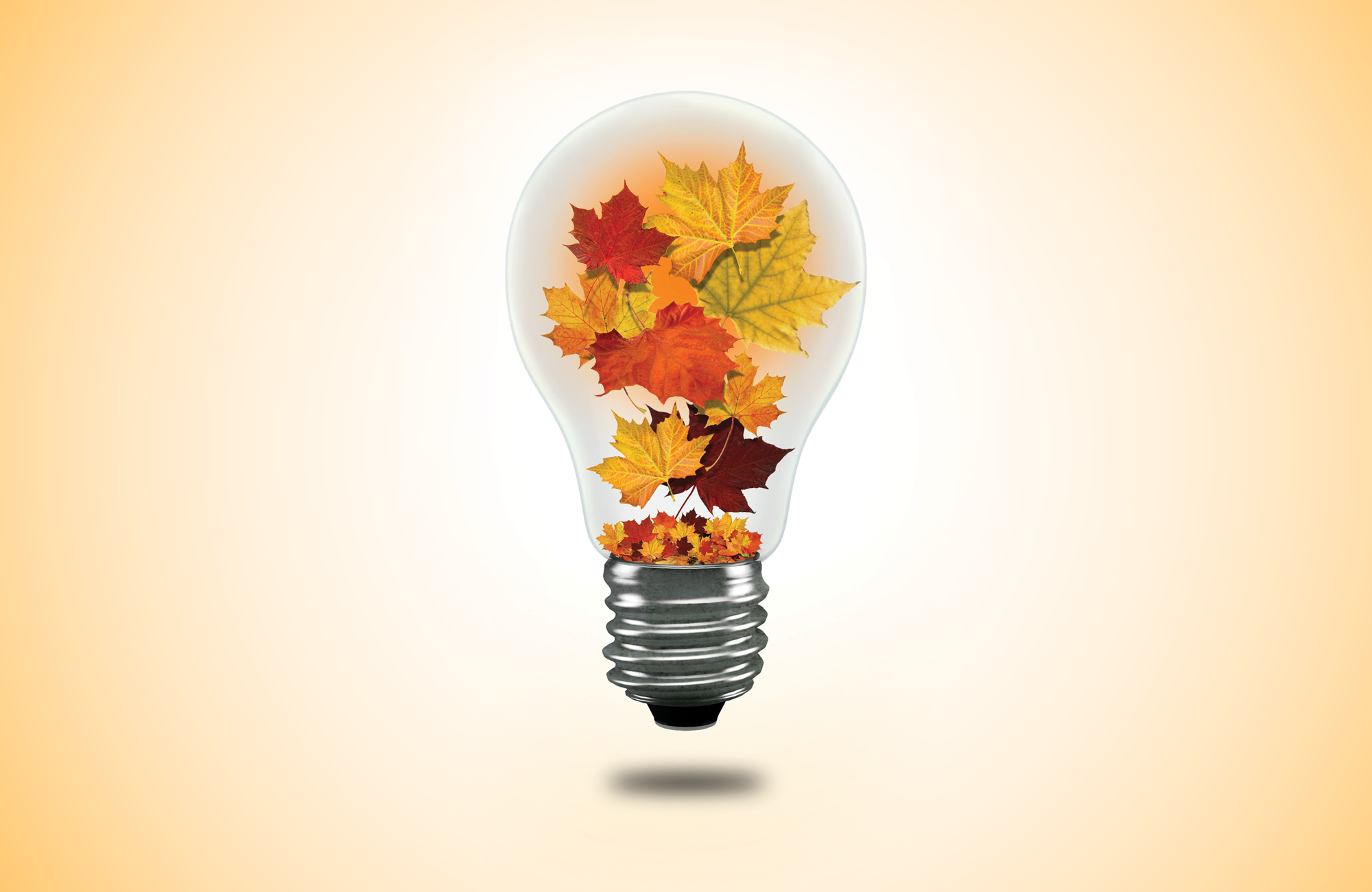 Save Money this Fall with these Energy Saving Tips