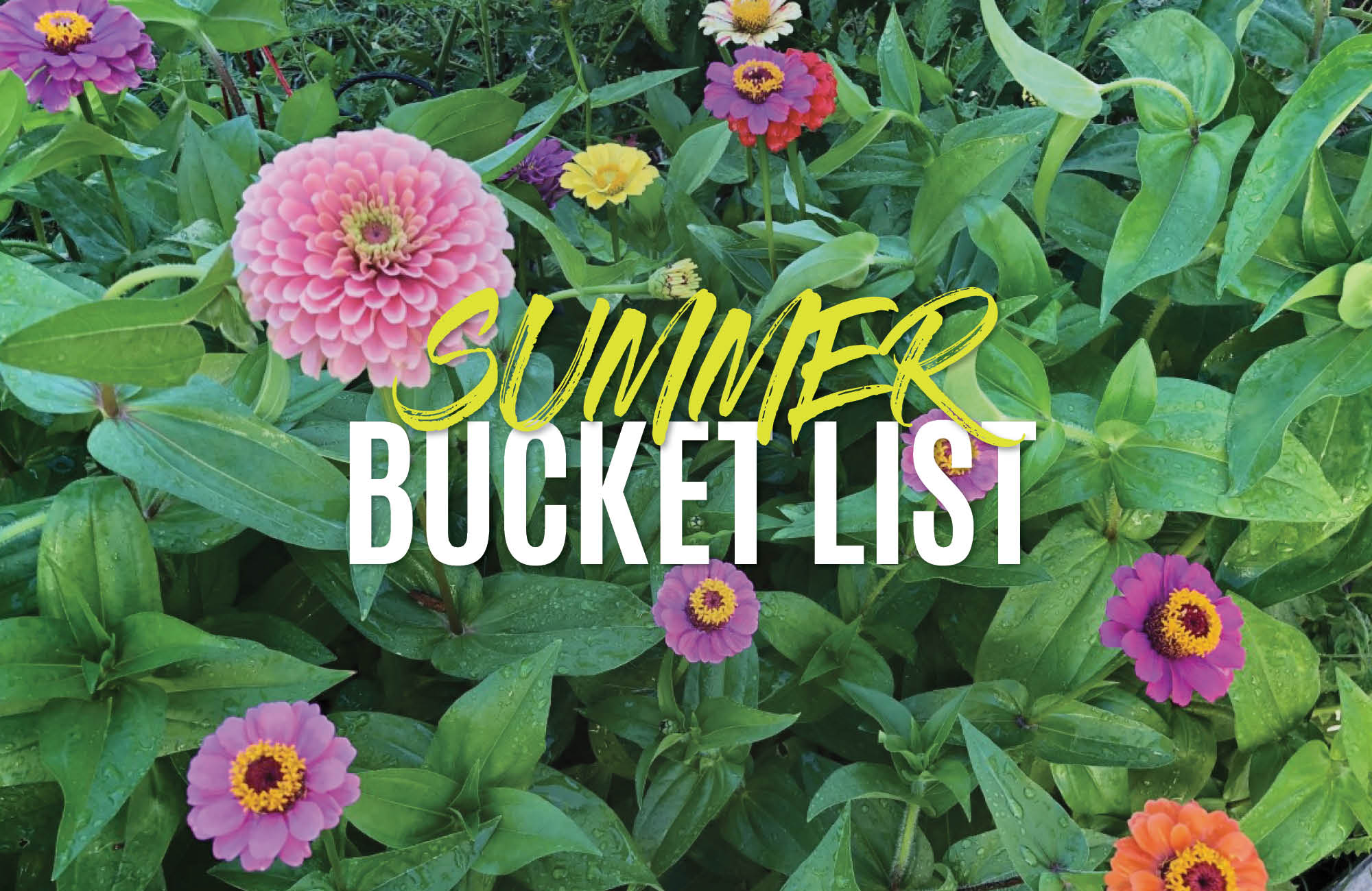 Your Summer 2020 Bucket List