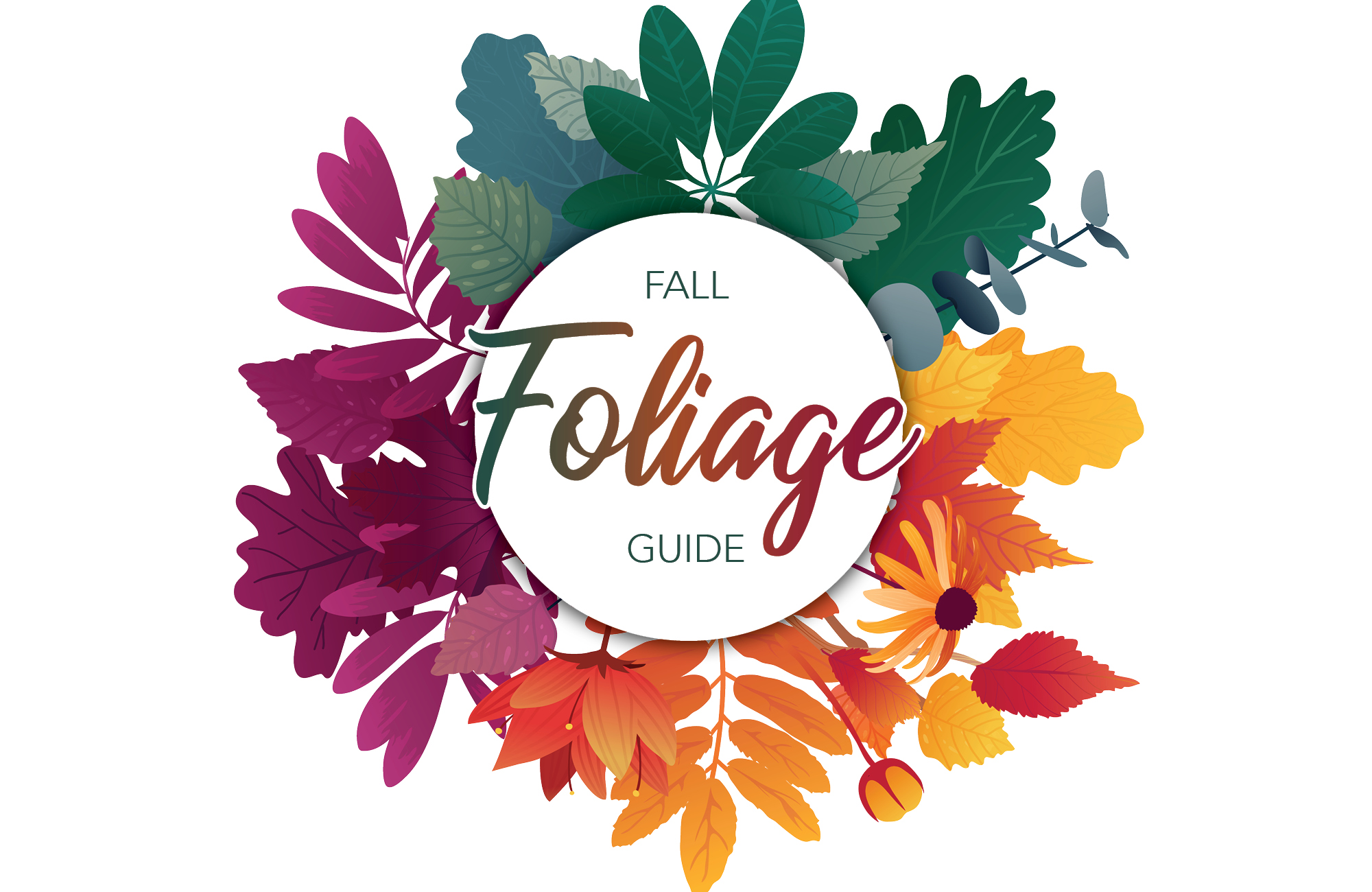 Fall Foliage Guide
