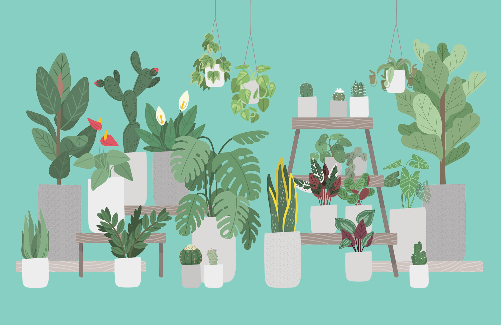 5 Houseplants That Anyone Can Grow